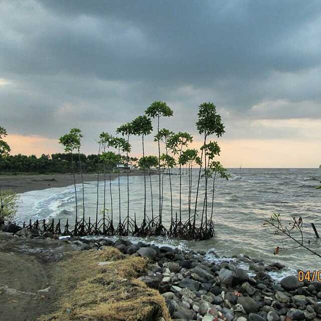 Pantai Ketiwon atau Dampyak yg bersebelahan dengan Pantai Martoloyo